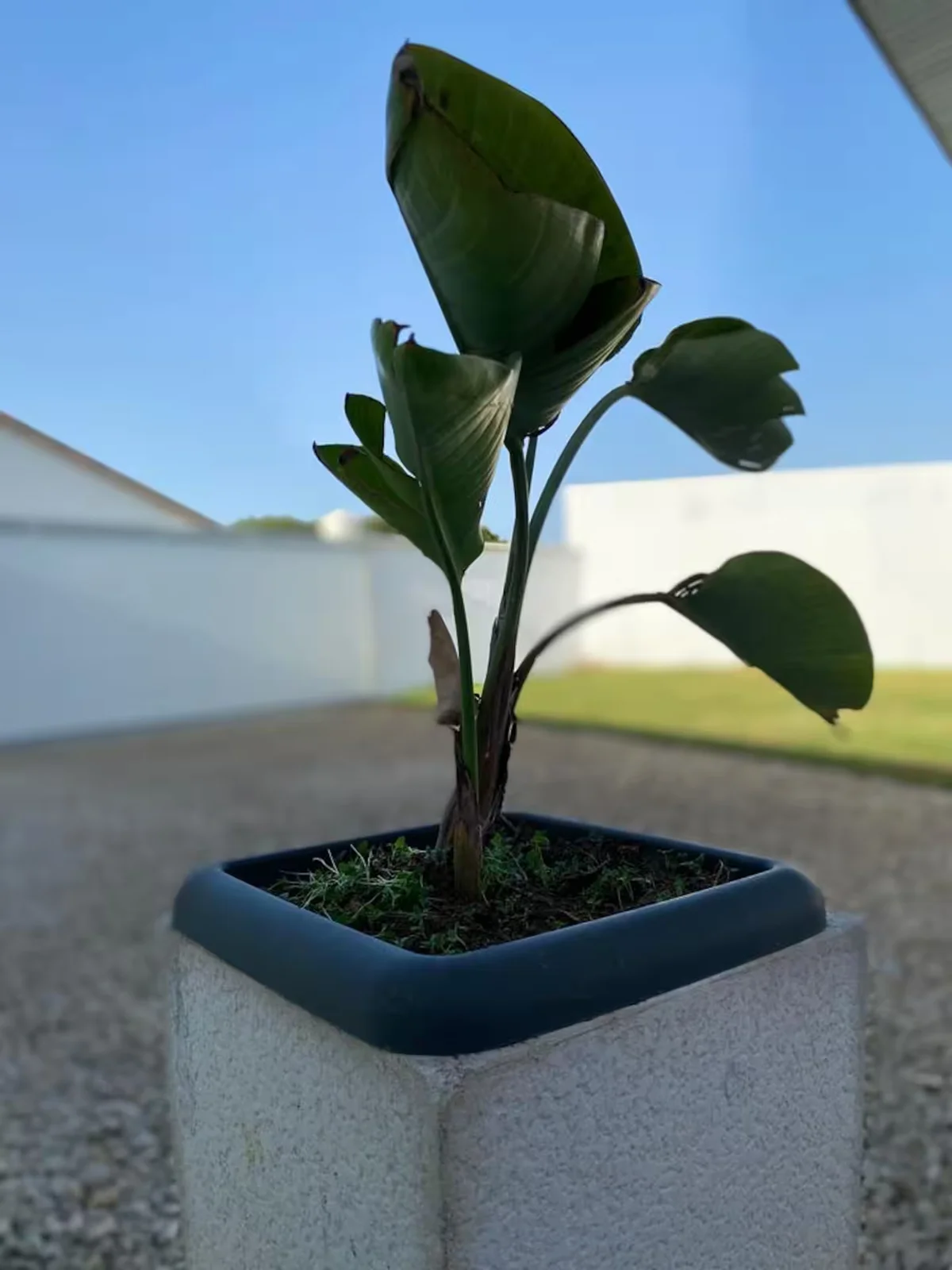 Luzdimar 4 - Vista de Exterior