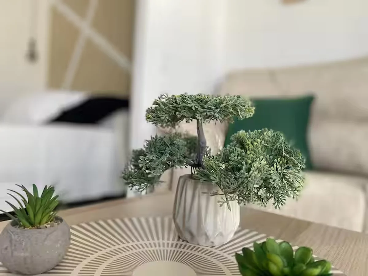 Luzdimar 5 - Interior 1